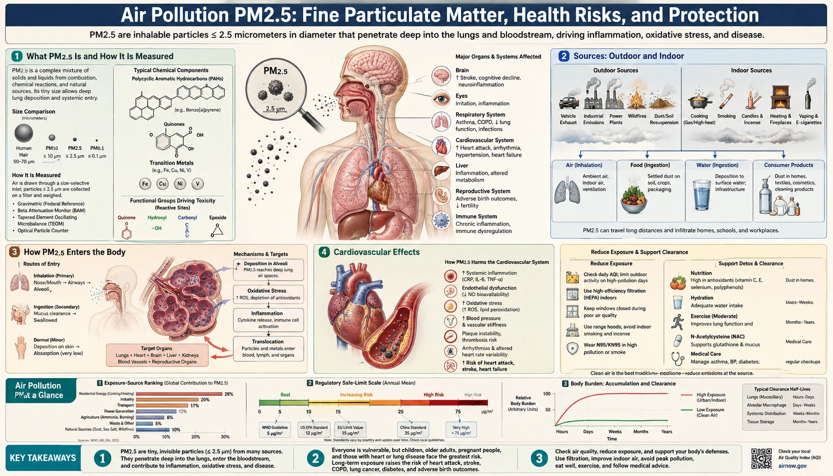Air Pollution PM25 — scientific infographic poster
