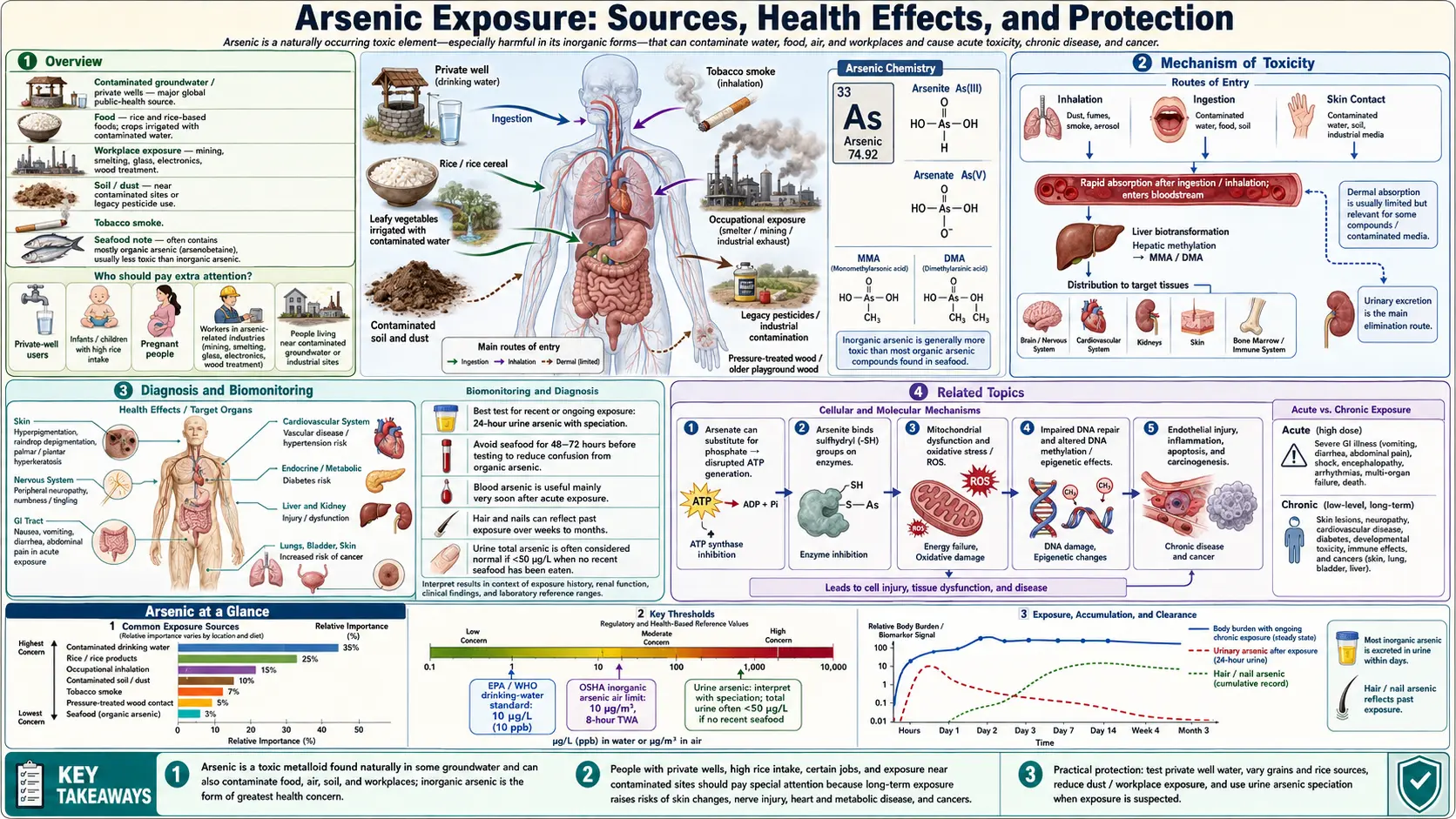 Arsenic — scientific infographic poster