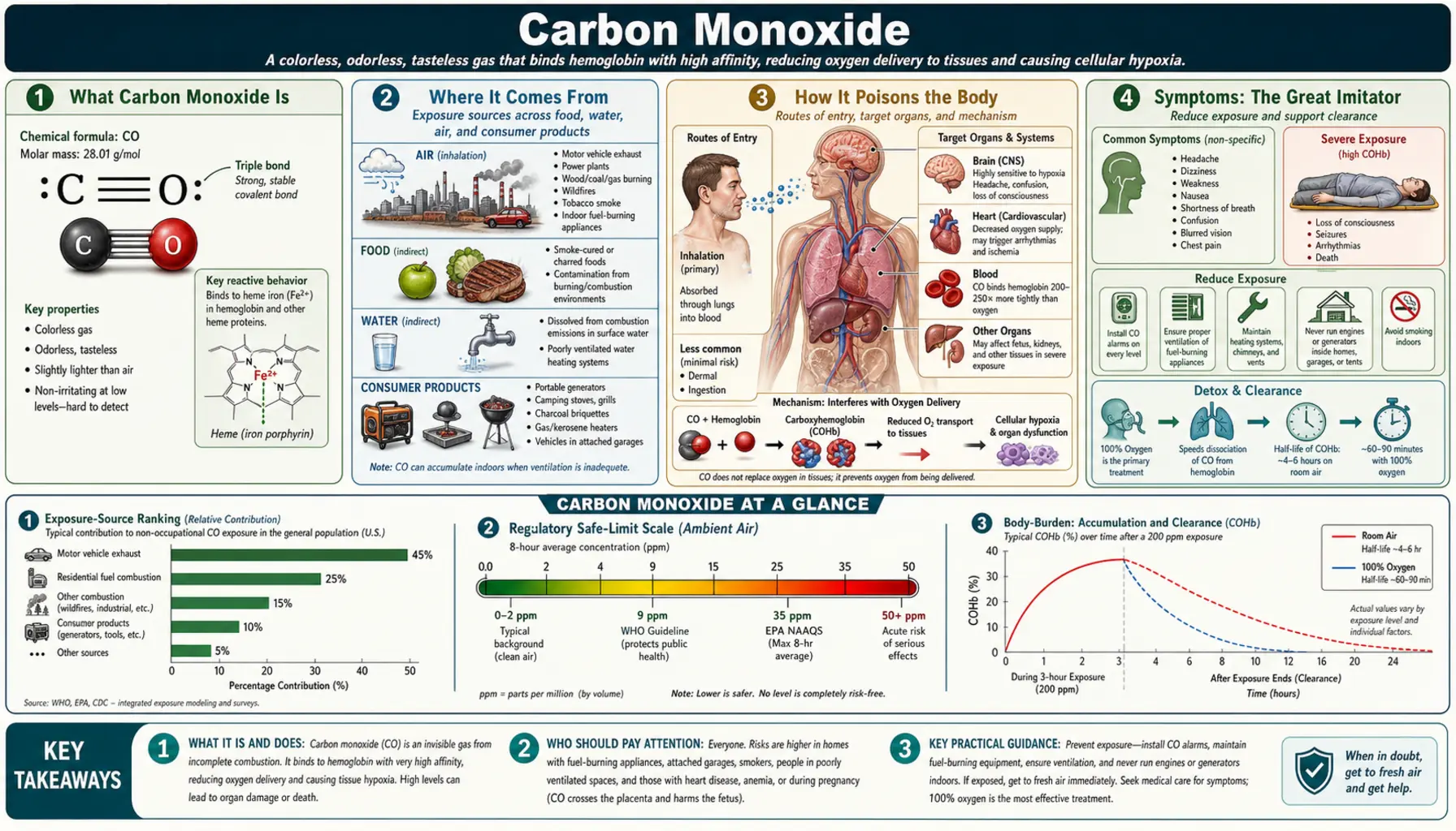 Carbon Monoxide — scientific infographic poster