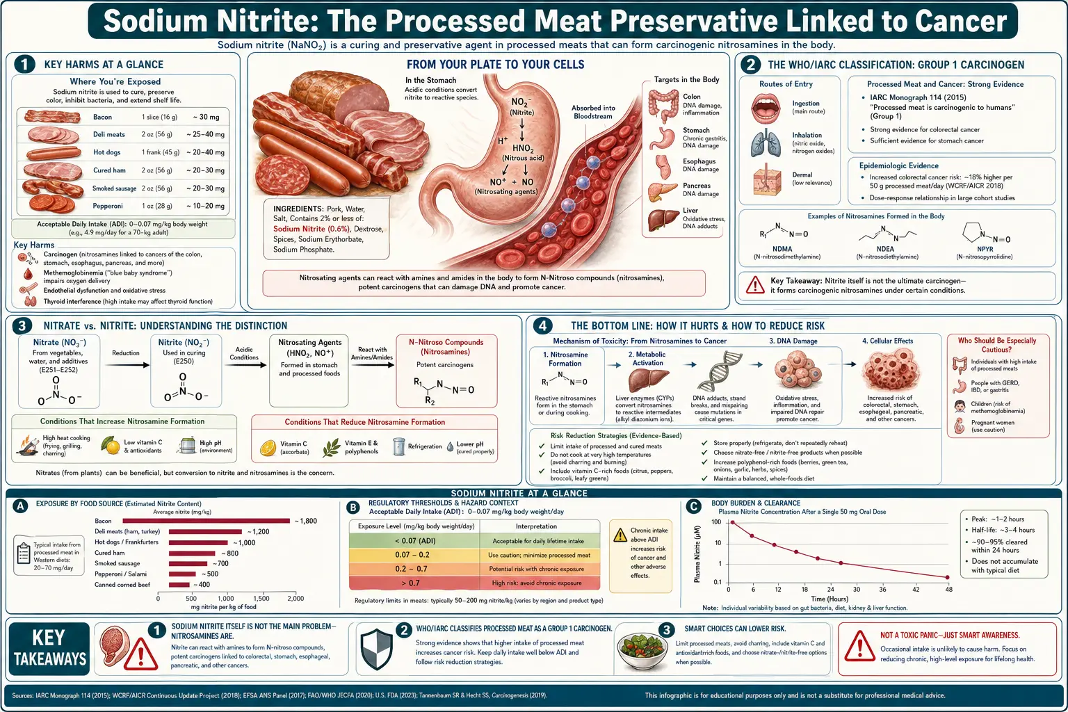Sodium Nitrite — scientific infographic poster