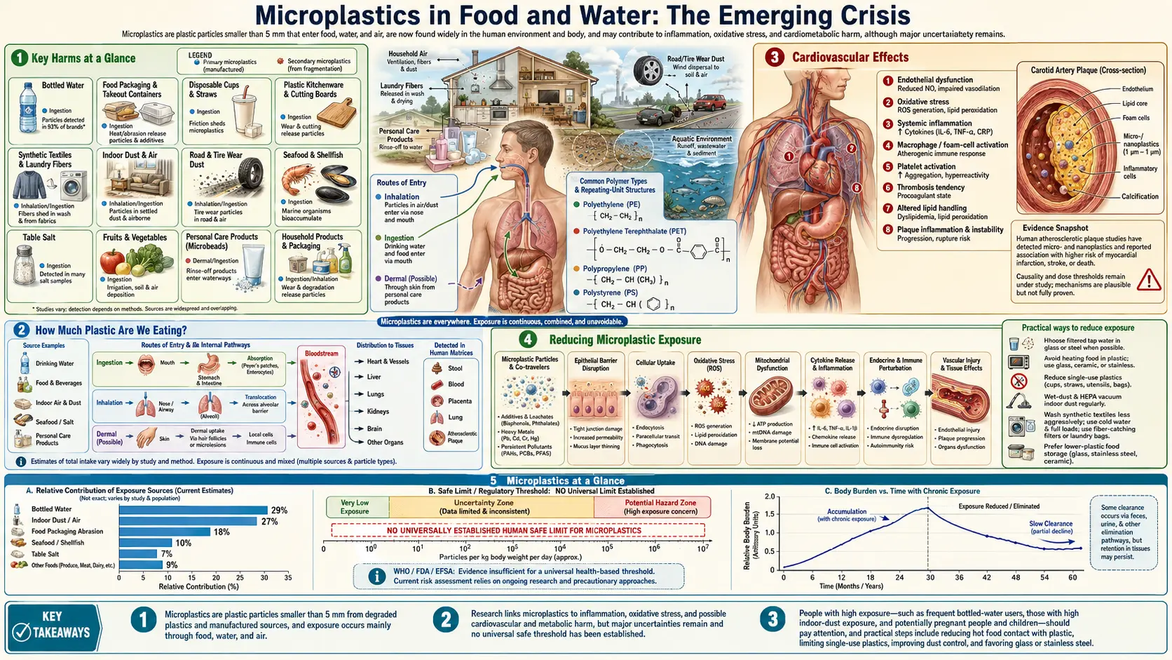 Microplastics — scientific infographic poster