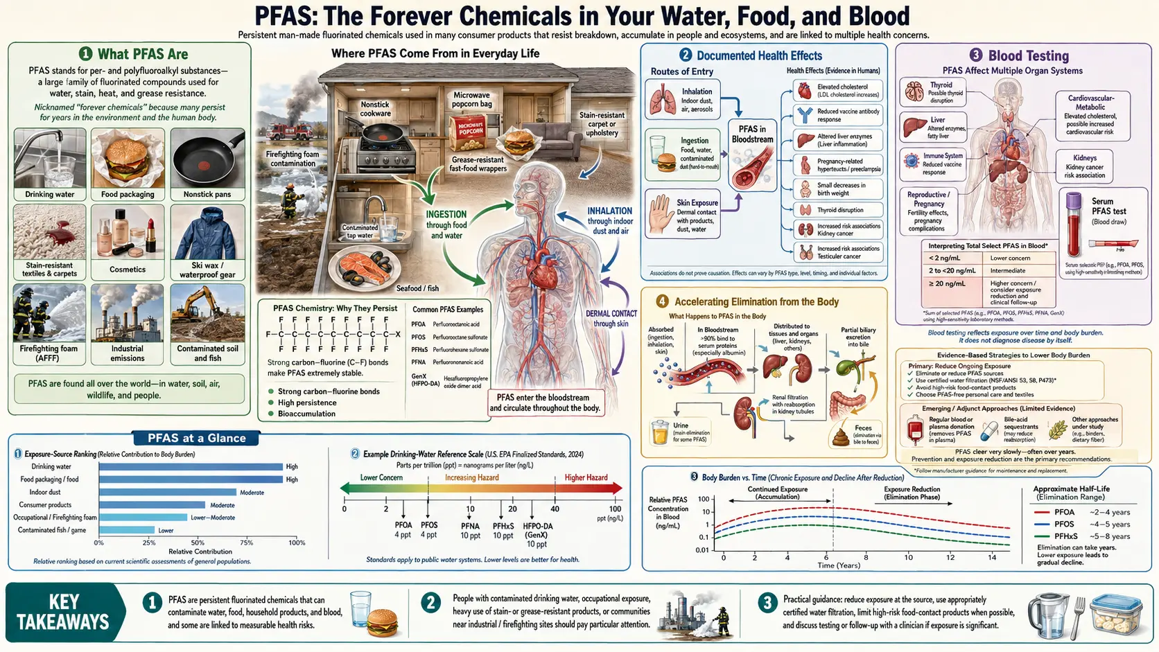 PFAS — scientific infographic poster