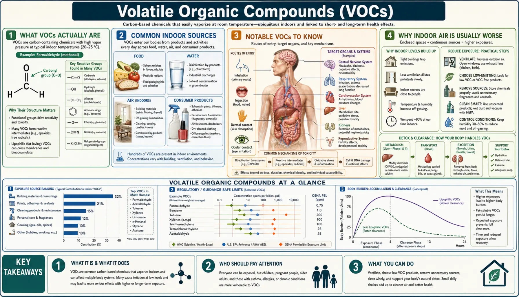 VOCs — scientific infographic poster