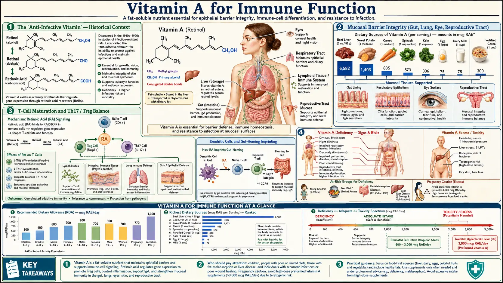 Immune Function — scientific infographic poster