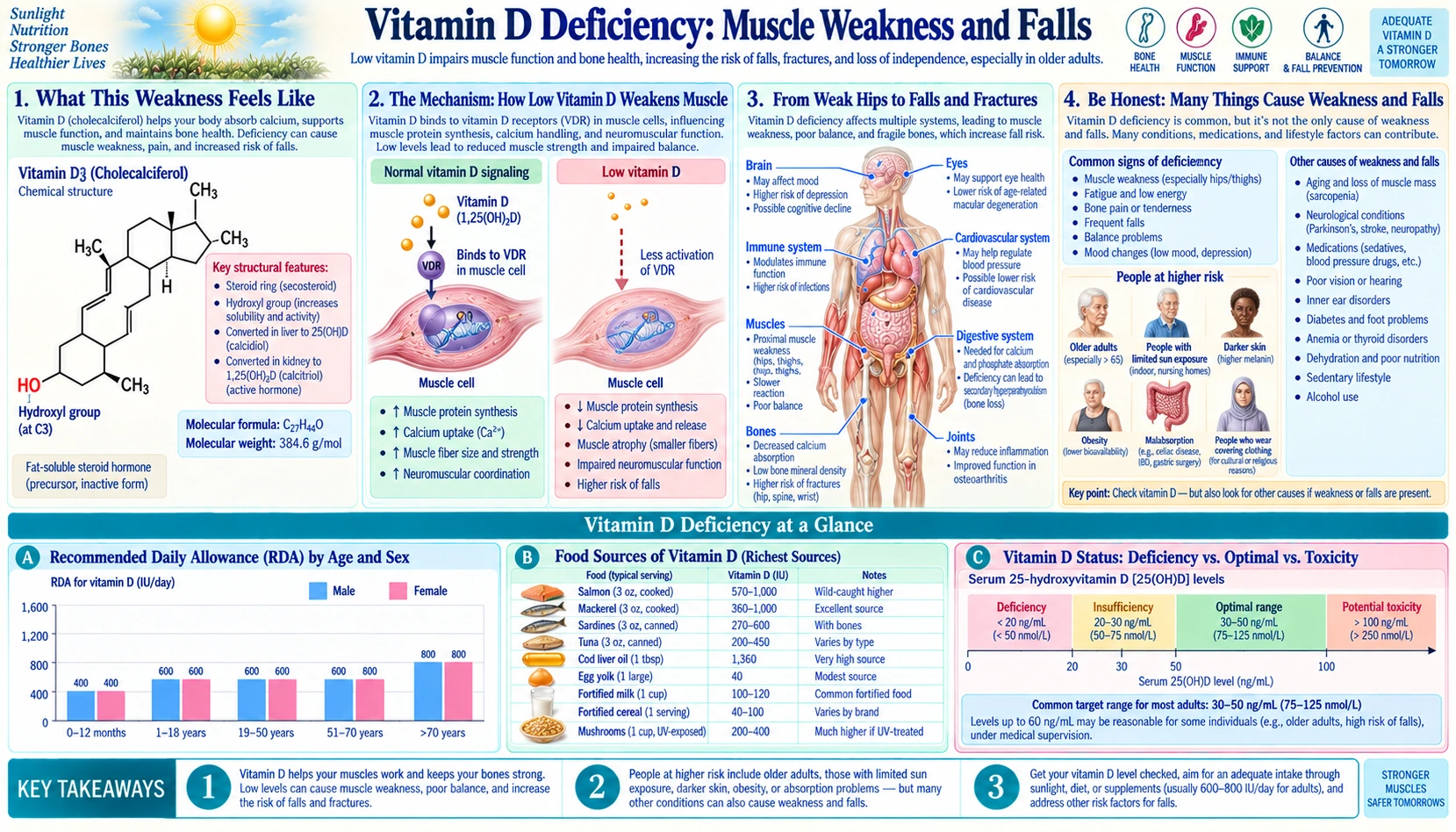 Muscle Weakness and Falls — scientific infographic poster