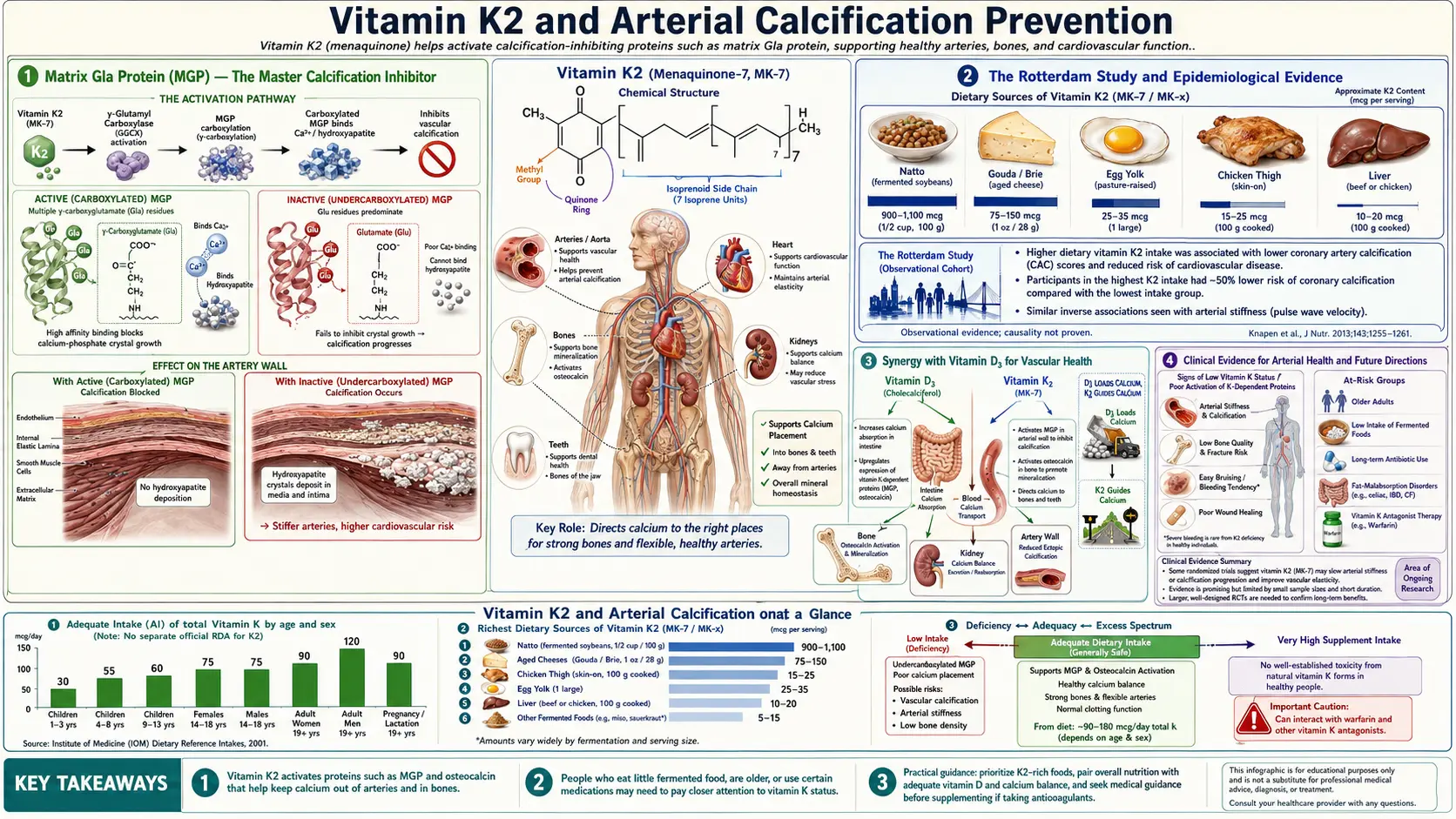 Vitamin K2 and Arterial Calcification — scientific infographic poster