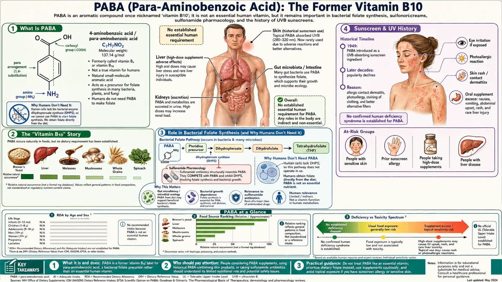 PABA — scientific infographic poster