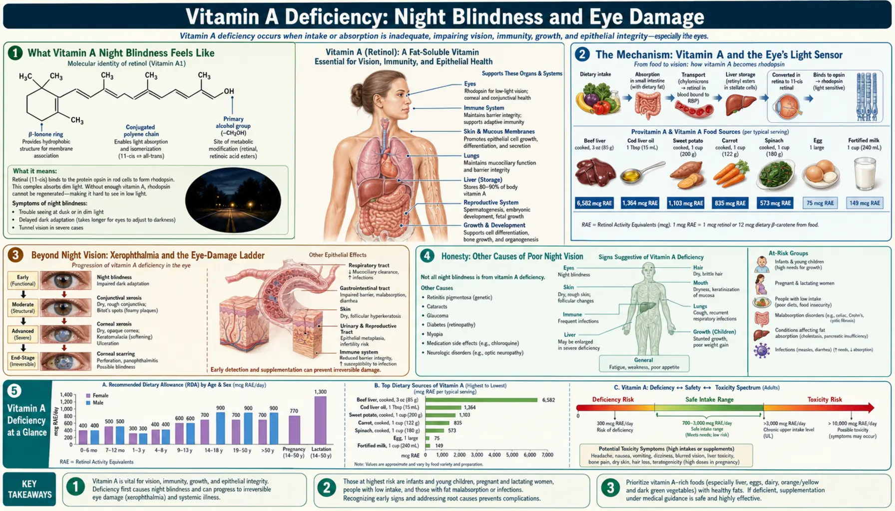 Night Blindness and Eye Damage — scientific infographic poster