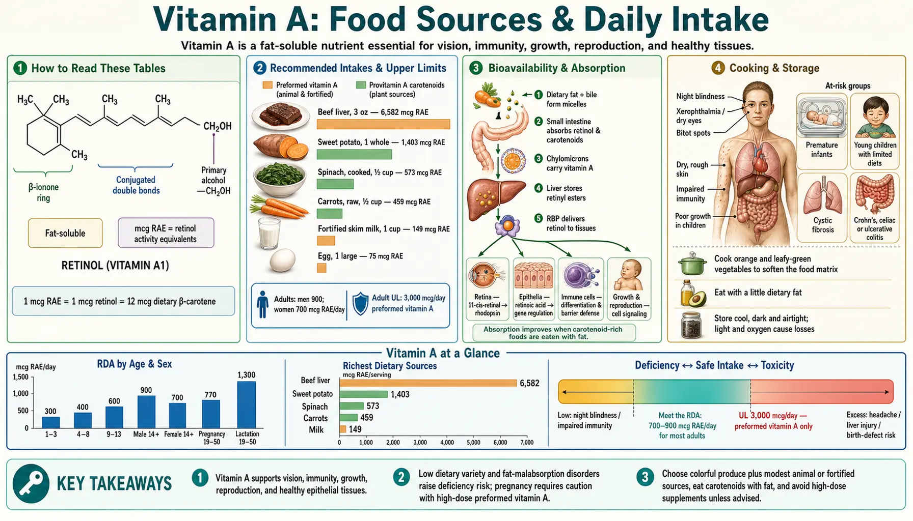 Sources — scientific infographic poster