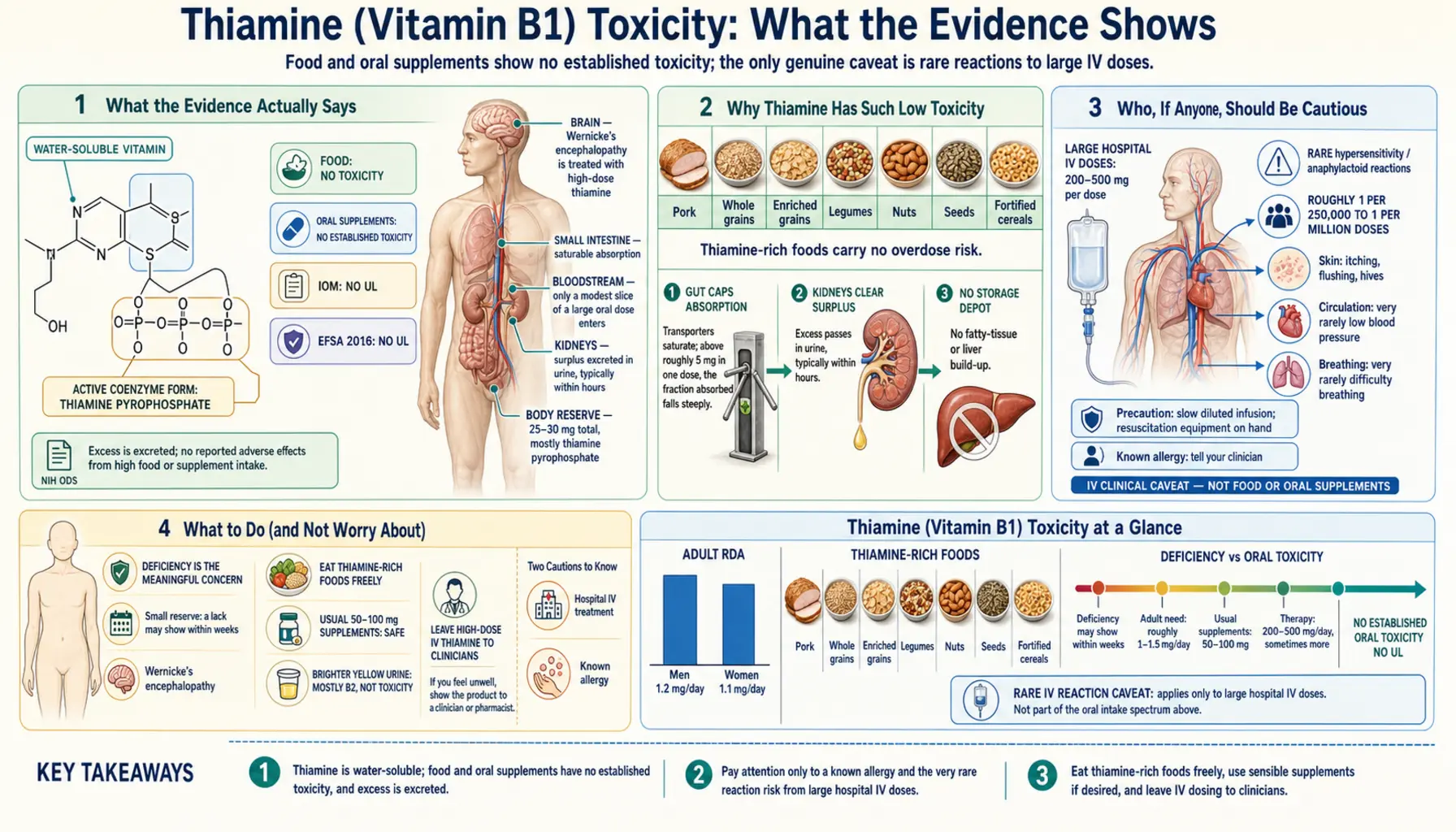 Toxicity — scientific infographic poster