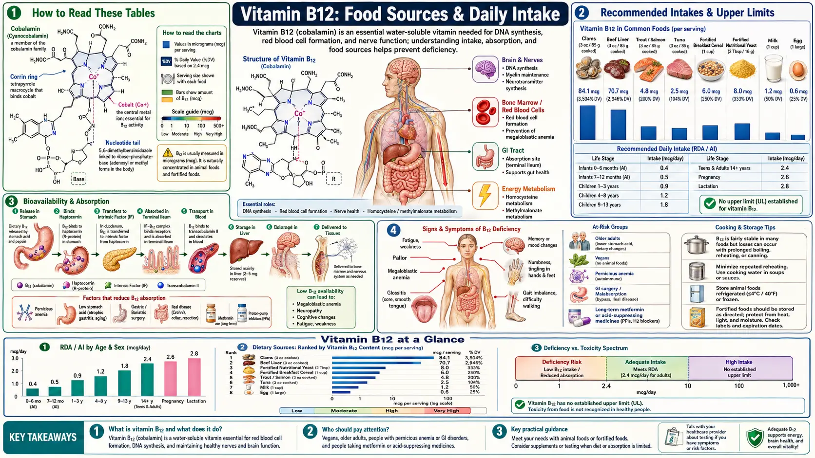 Sources — scientific infographic poster