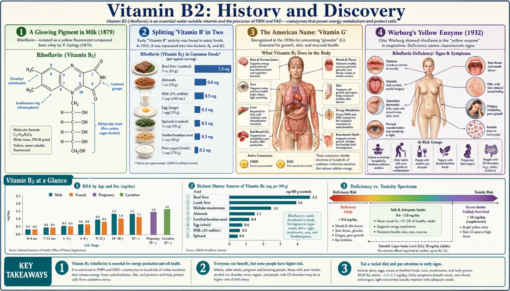 History — scientific infographic poster