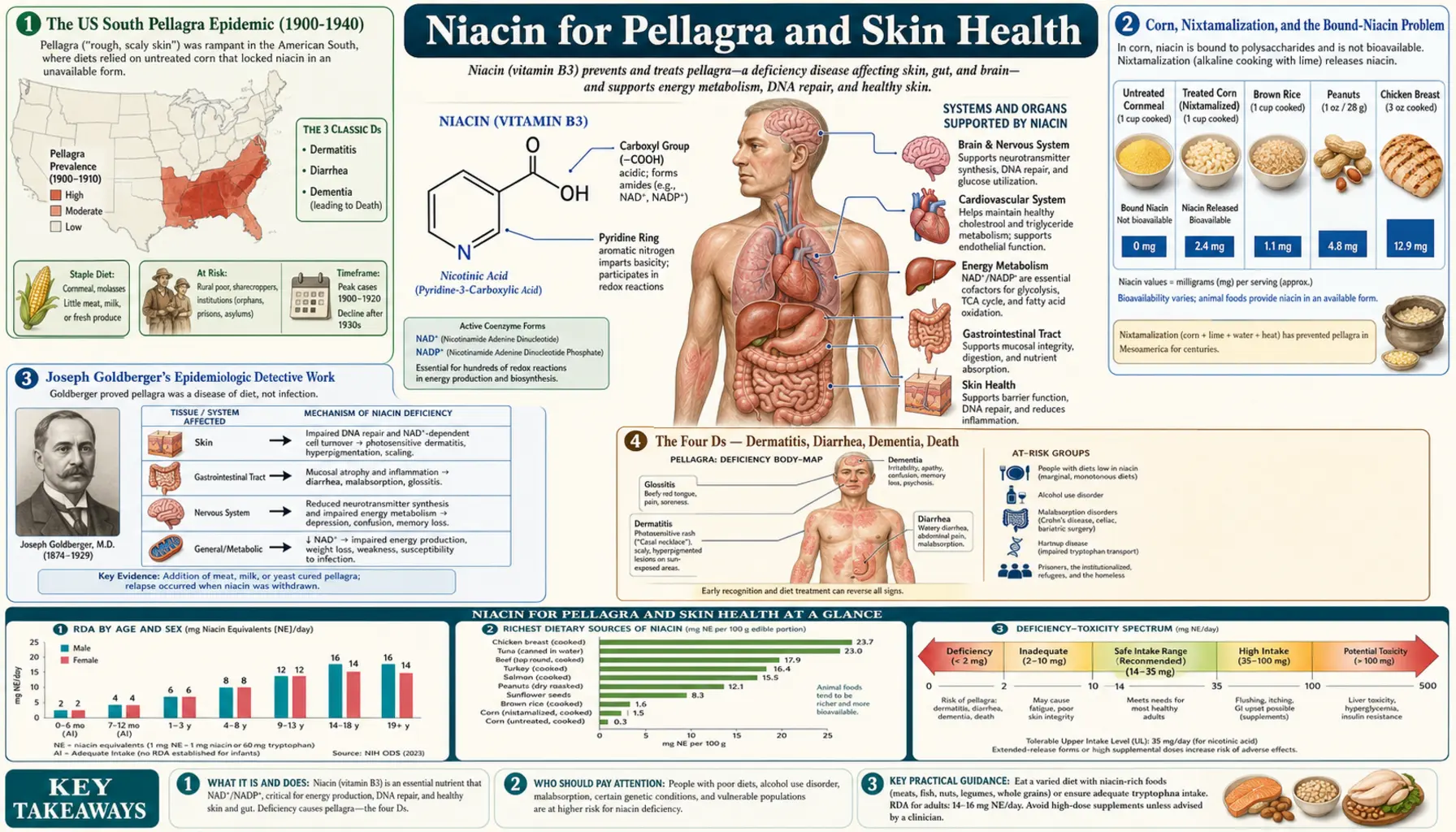 Pellagra and Skin — scientific infographic poster