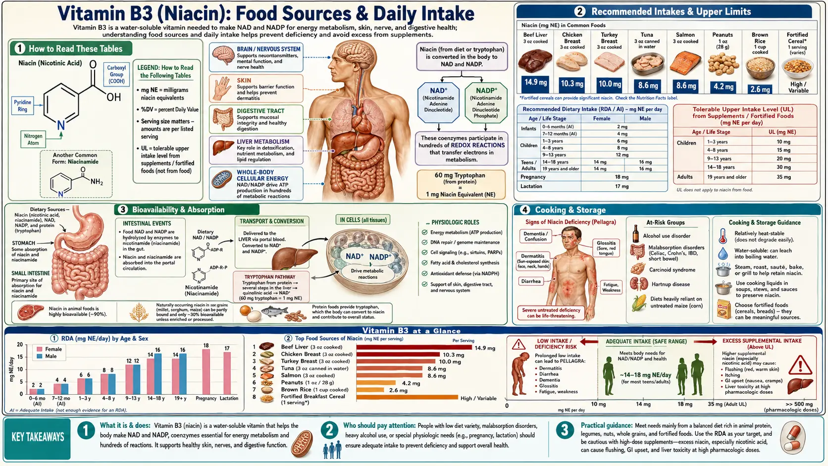 Sources — scientific infographic poster
