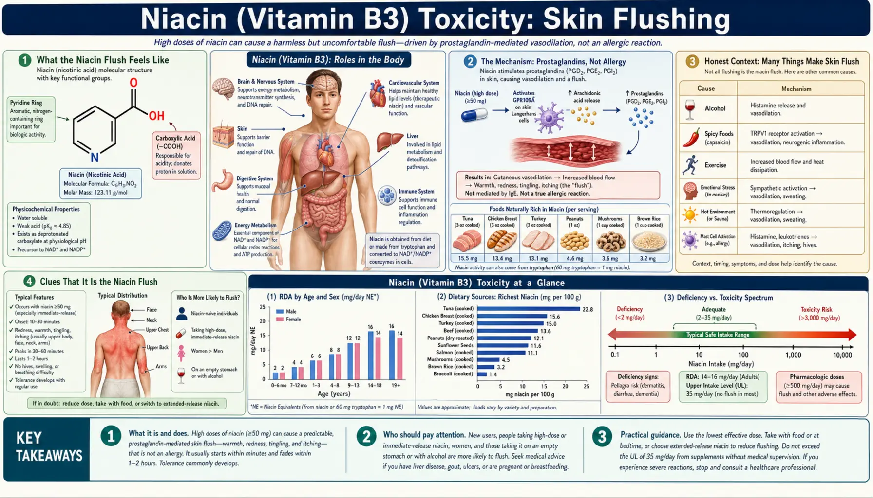 Skin Flushing — scientific infographic poster