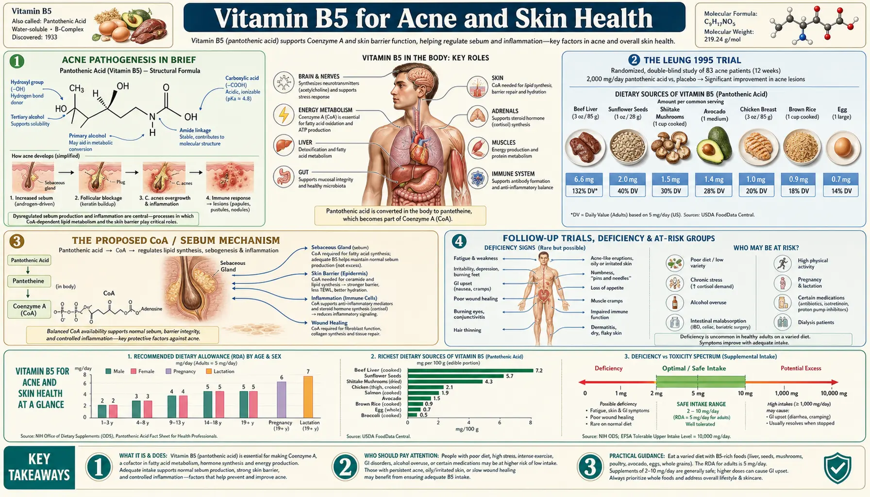 Acne and Skin — scientific infographic poster