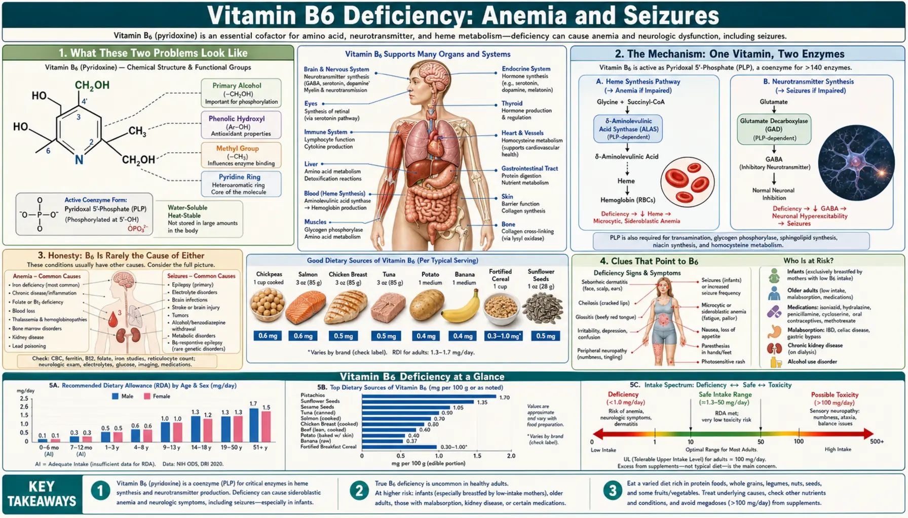 Anemia and Seizures — scientific infographic poster