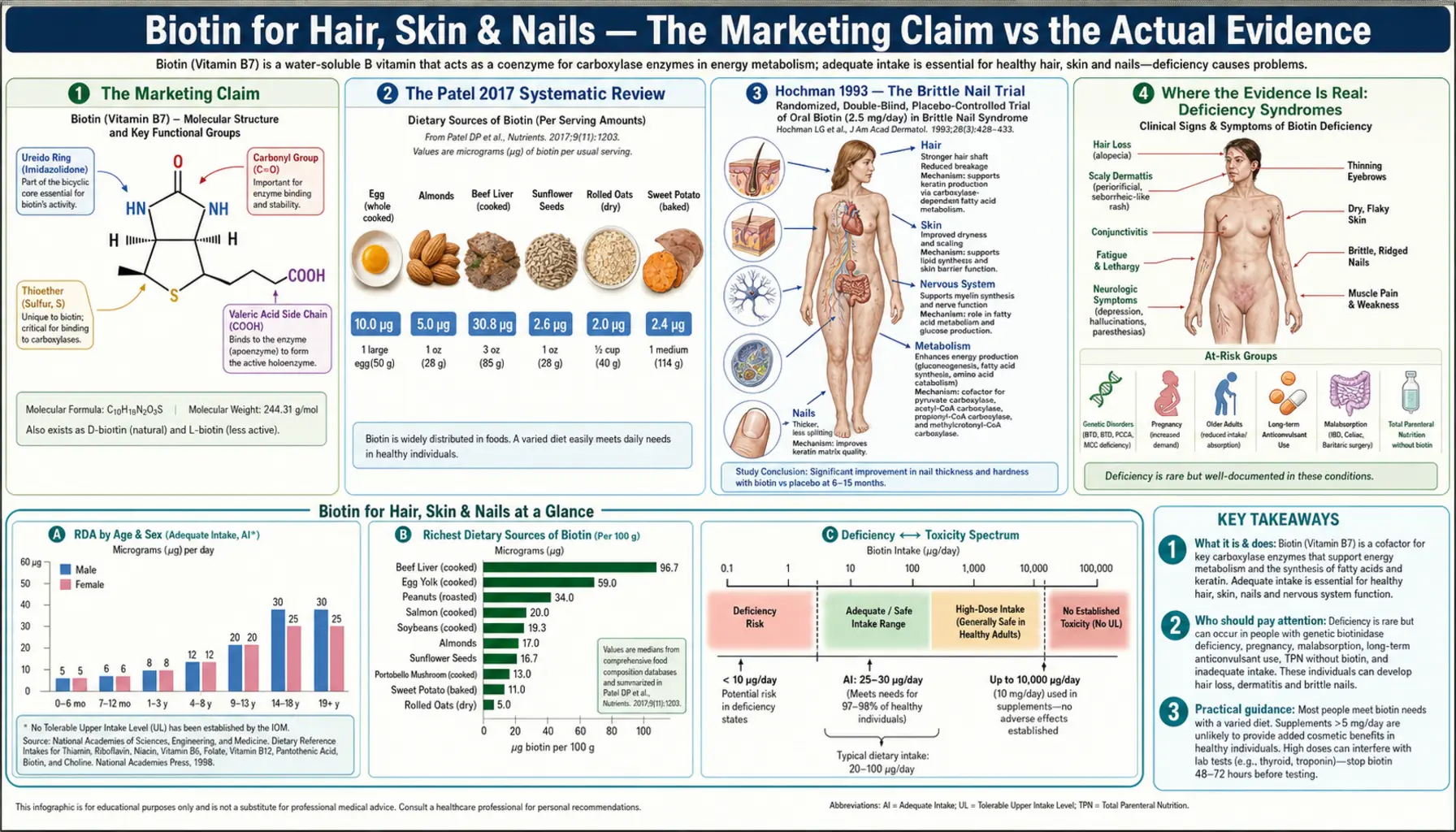 Hair Skin Nails — scientific infographic poster