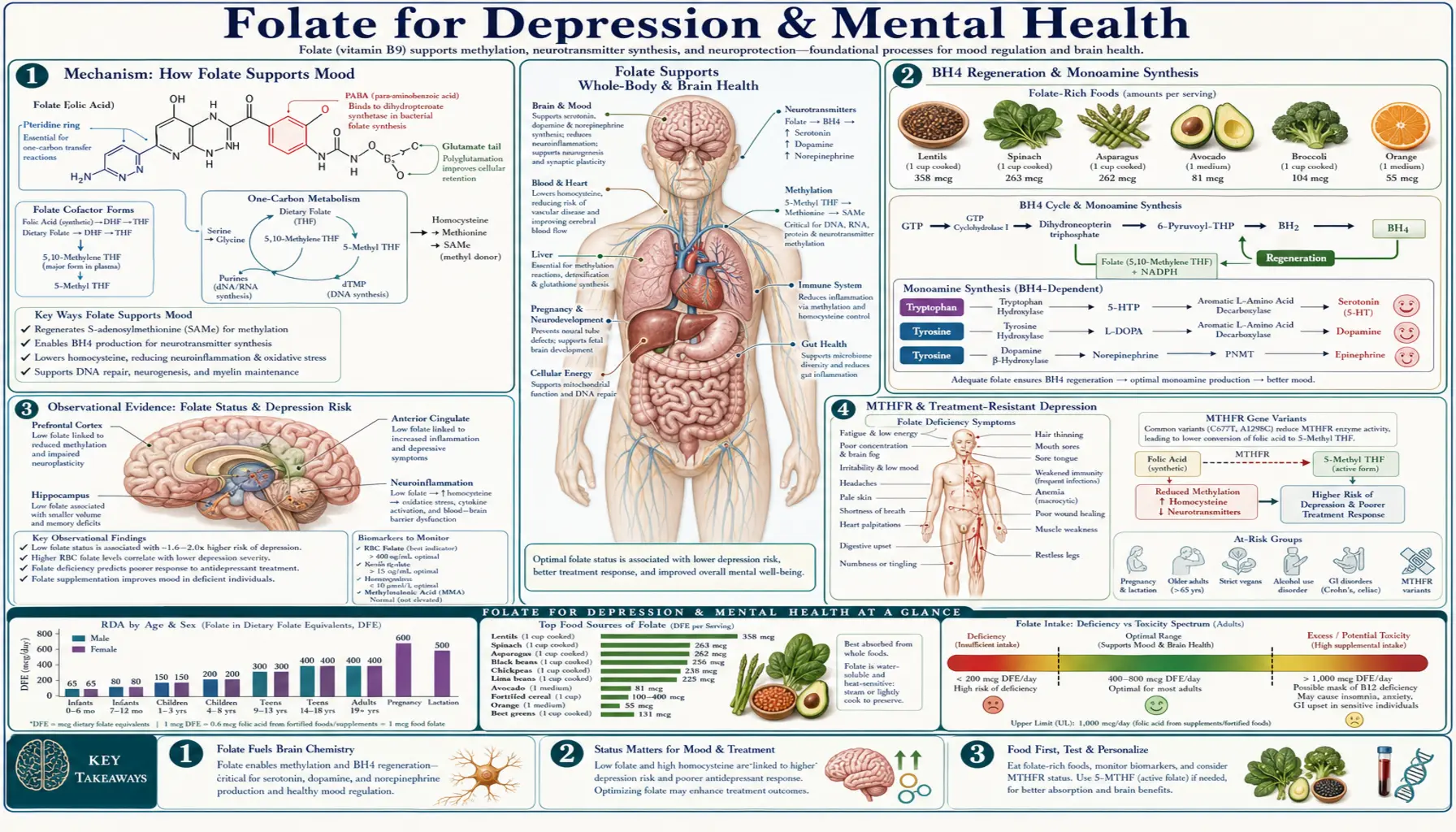 Depression and Mental Health — scientific infographic poster