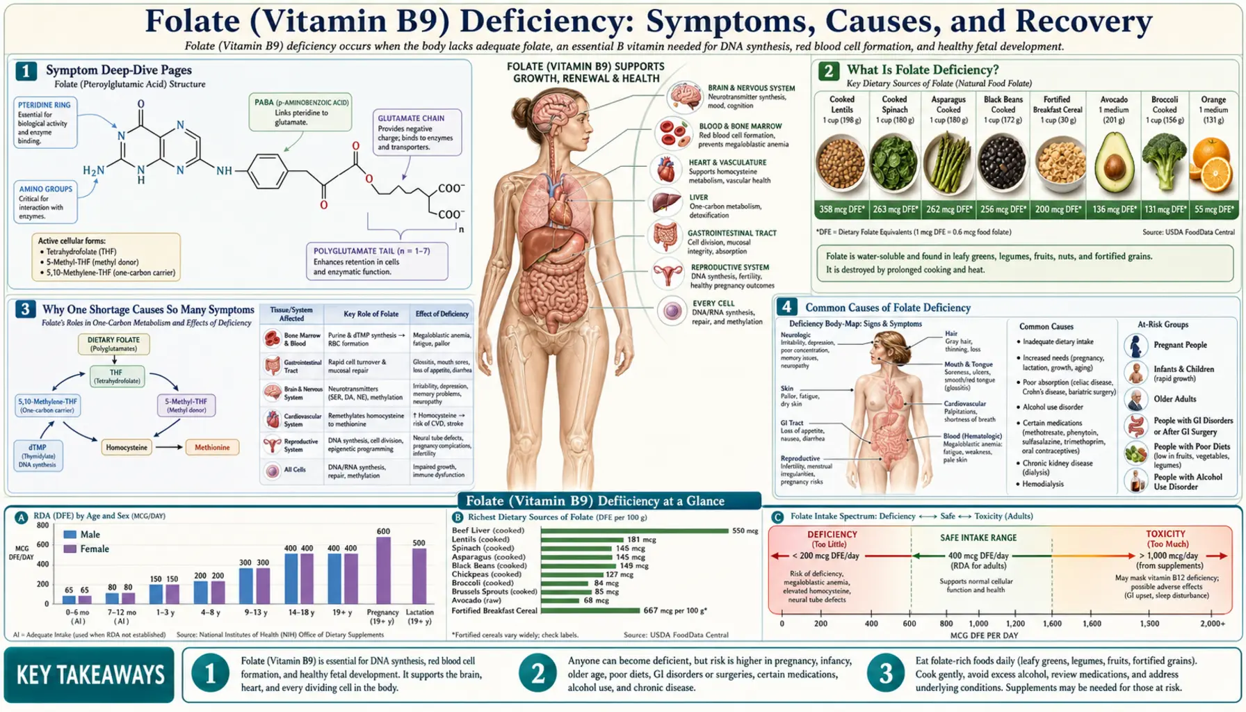 Deficiency — scientific infographic poster