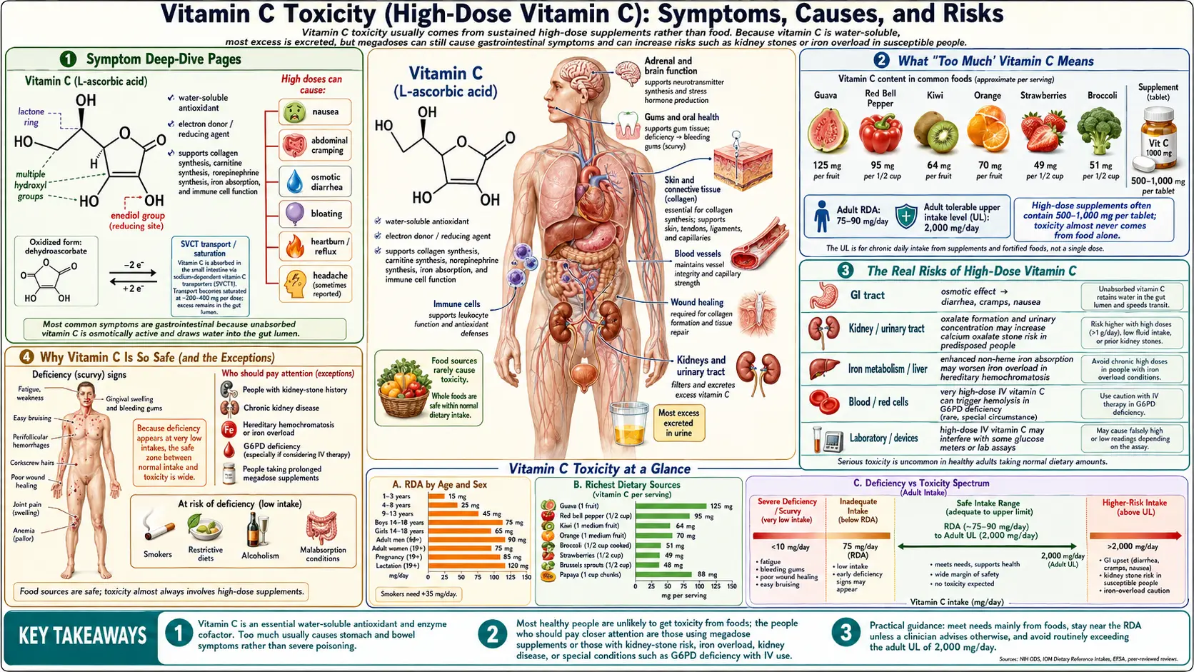 Toxicity — scientific infographic poster