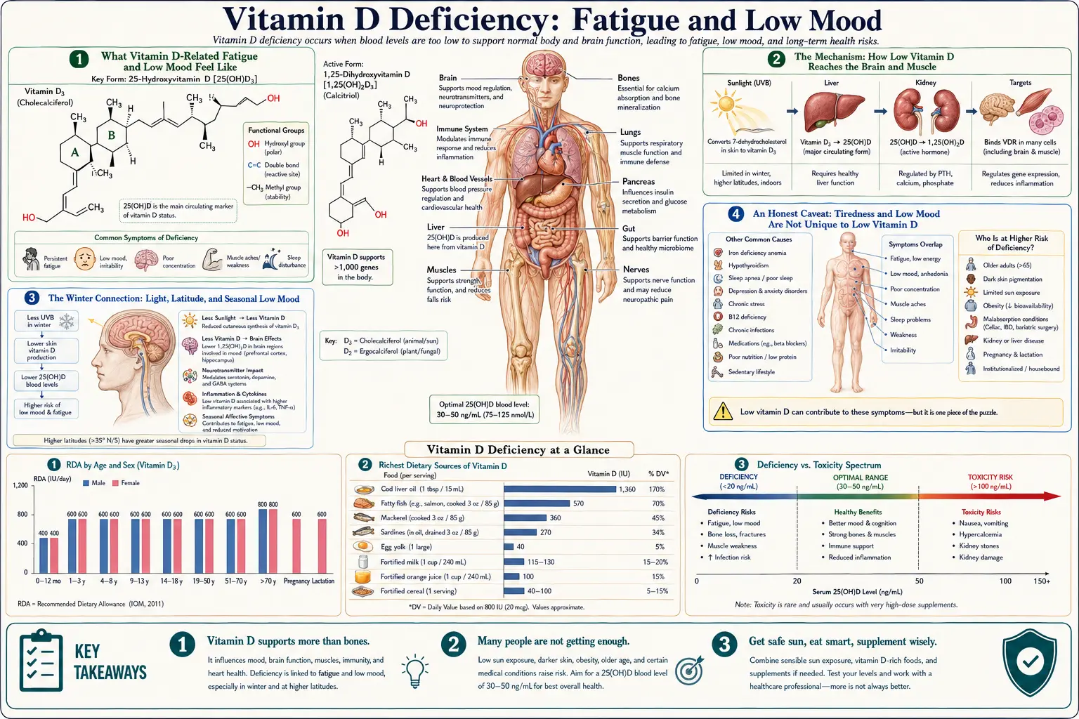 Fatigue and Low Mood — scientific infographic poster