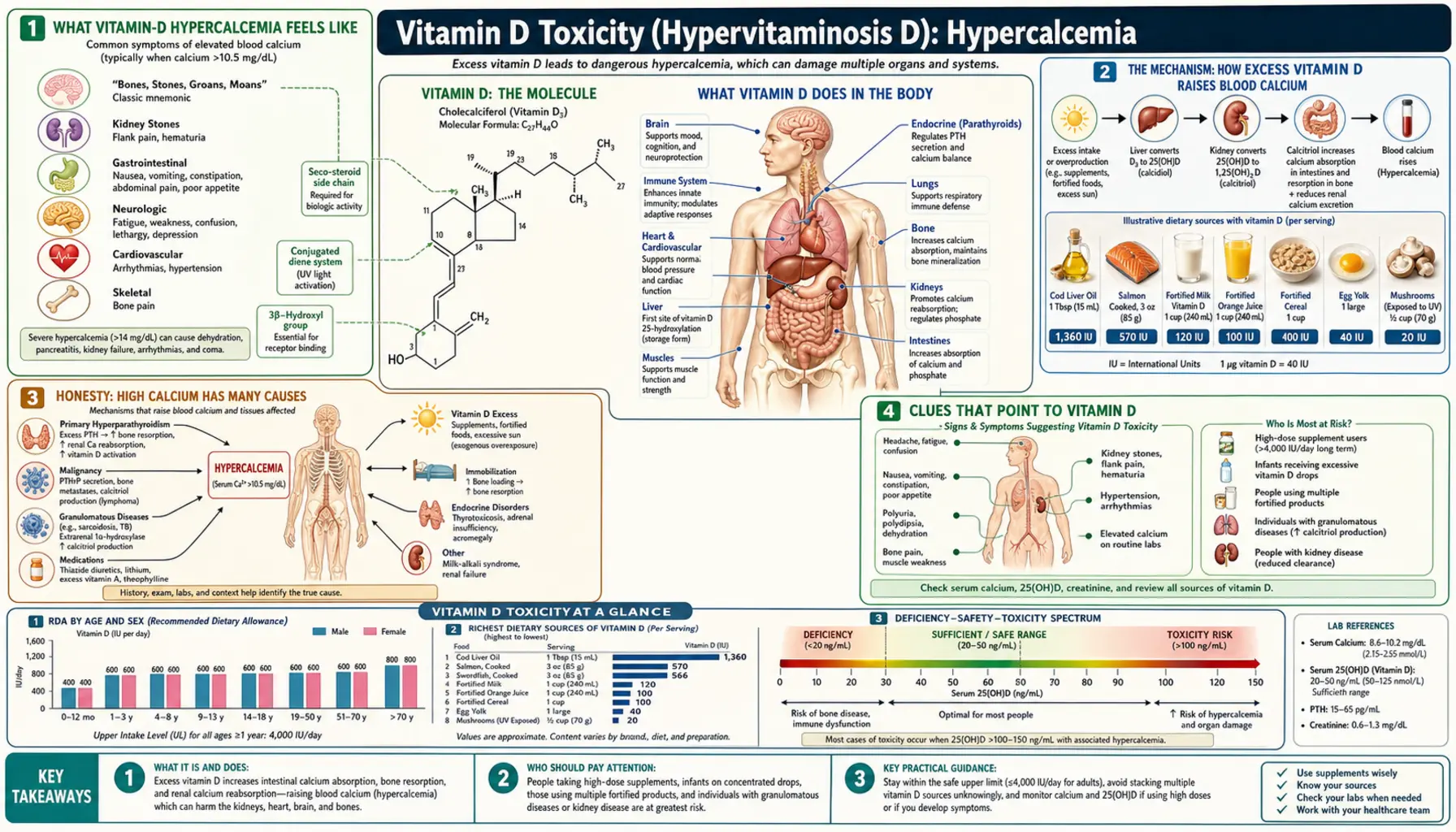 Hypercalcemia — scientific infographic poster
