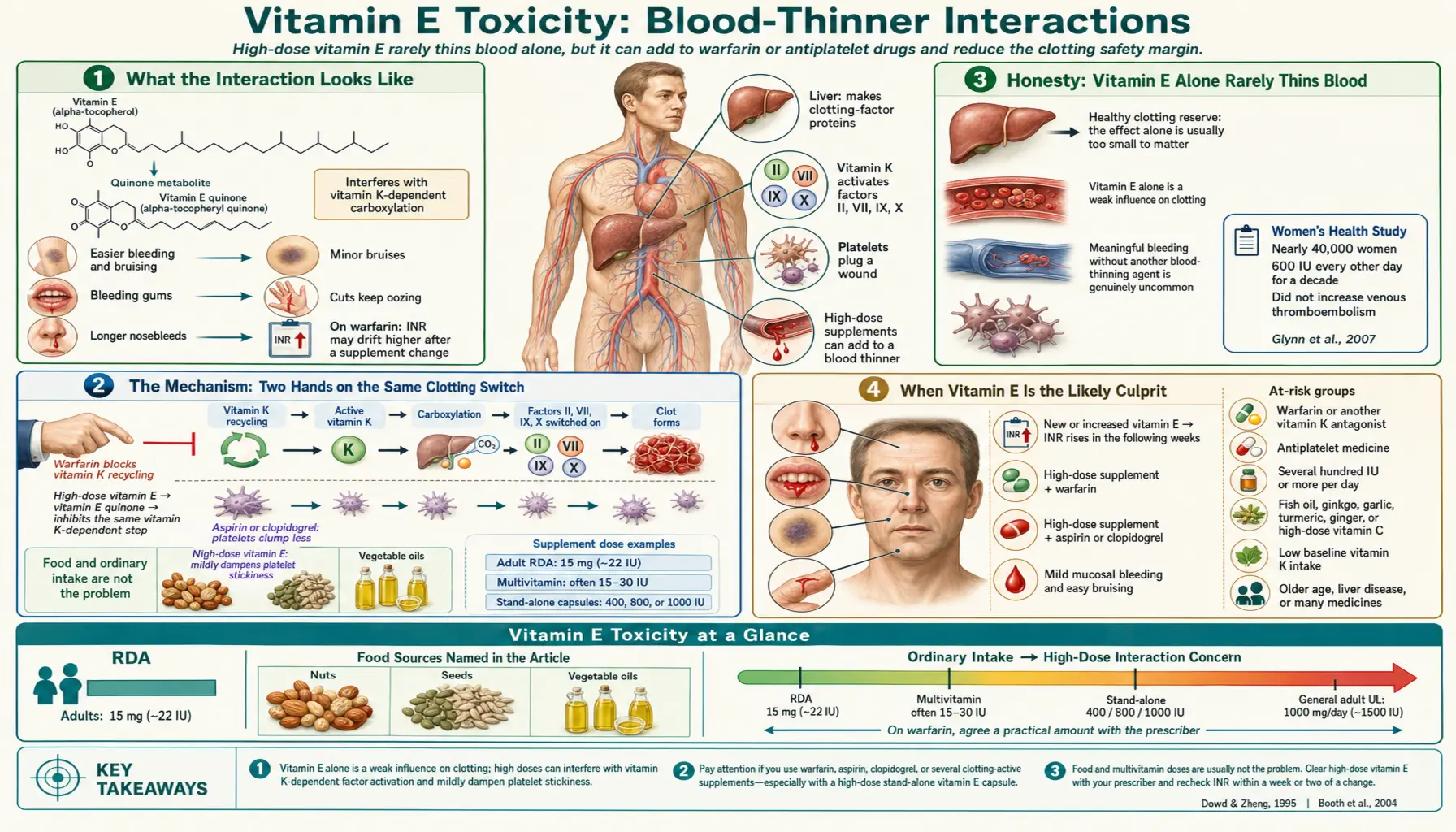 Blood Thinner Interactions — scientific infographic poster