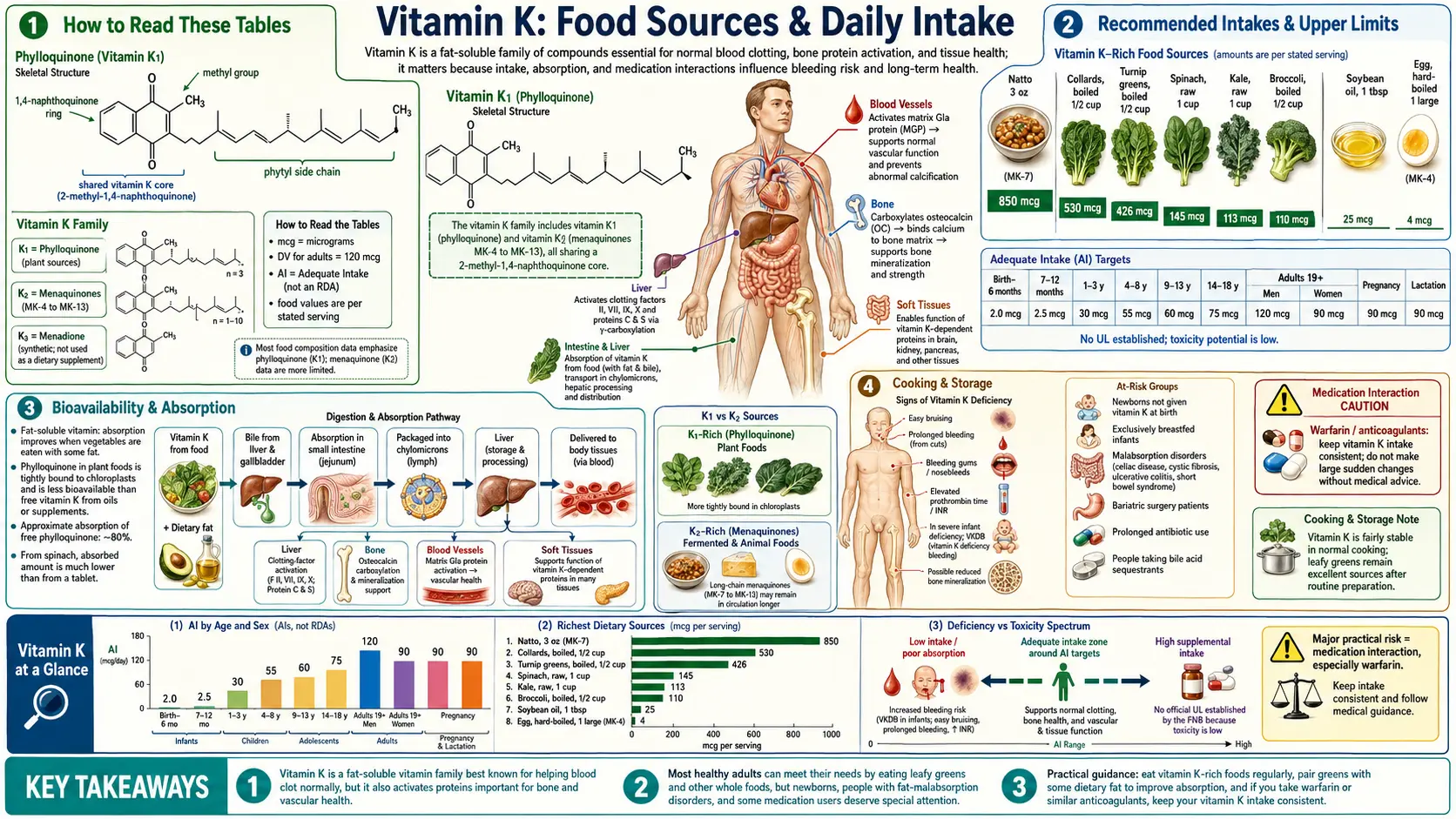 Sources — scientific infographic poster