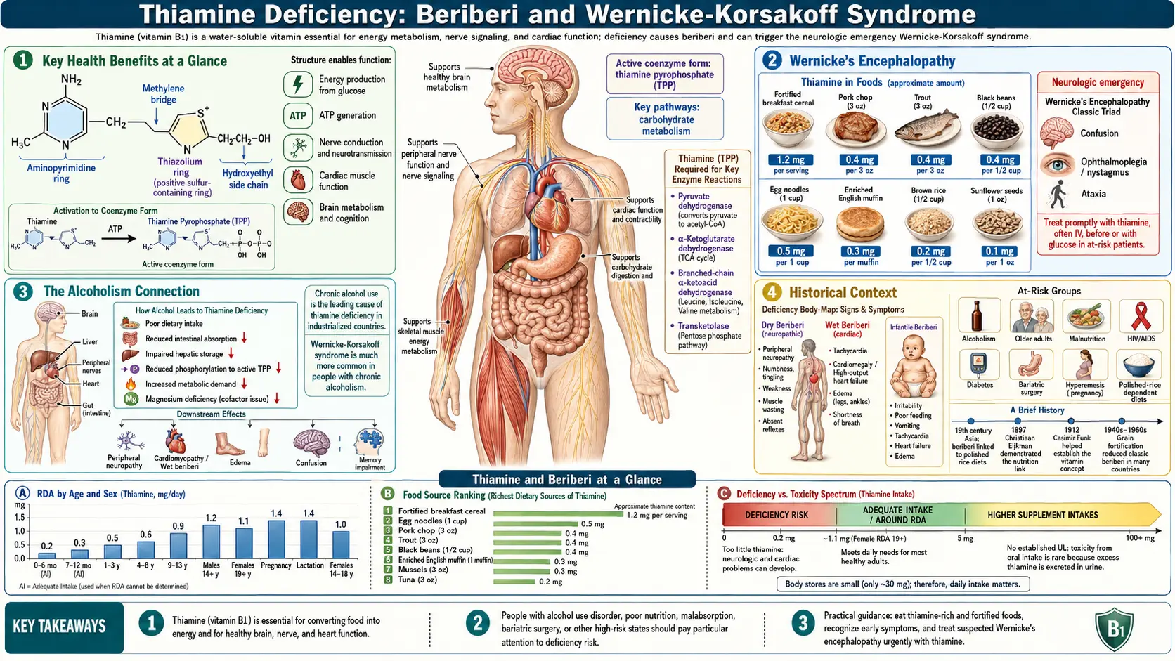 Thiamine and Beriberi — scientific infographic poster