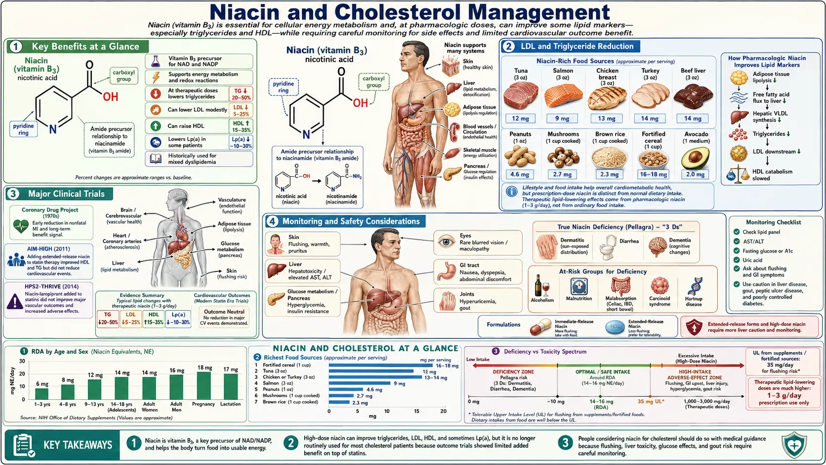 Niacin and Cholesterol — scientific infographic poster