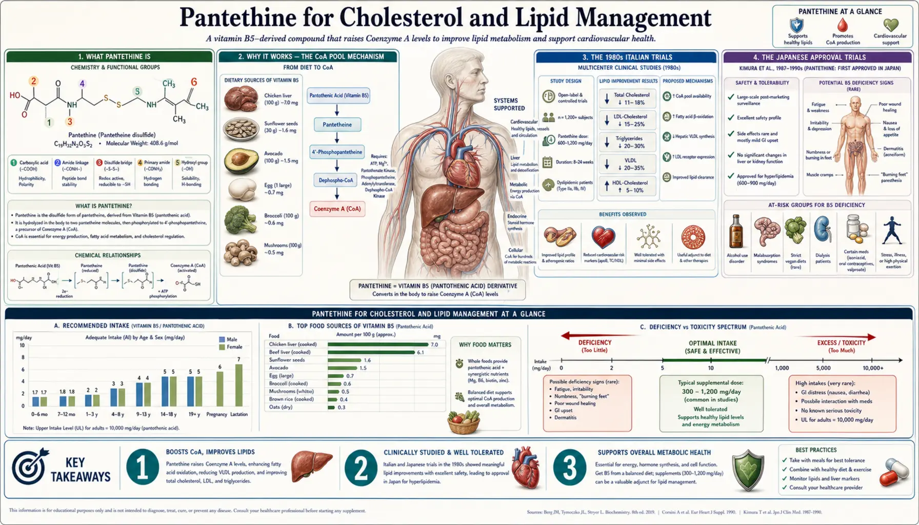 Pantethine and Cholesterol — scientific infographic poster