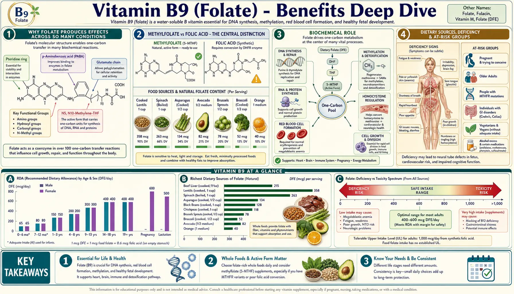 Benefits — scientific infographic poster